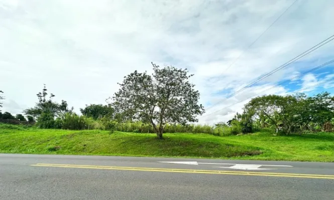 SE VENDE LOTE DE USO MIXTO EN SAN PABLO, HEREDIA, COD#25-729 en San Pablo, Heredia — $3,400,000 - Foto 3 de 8