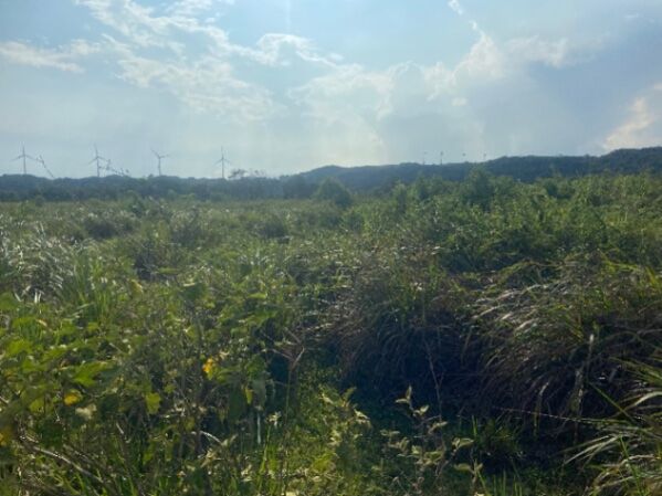 Quinta en Guanacaste in Mogote, Bagaces, Guanacaste — ₡ 40 000 000