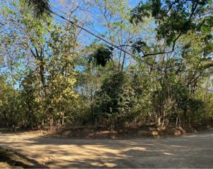 Lote en Venta Playa Avellanas, Guanacaste. in Tamarindo, Santa Cruz, Guanacaste — $400,000 - Photo 2 of 2
