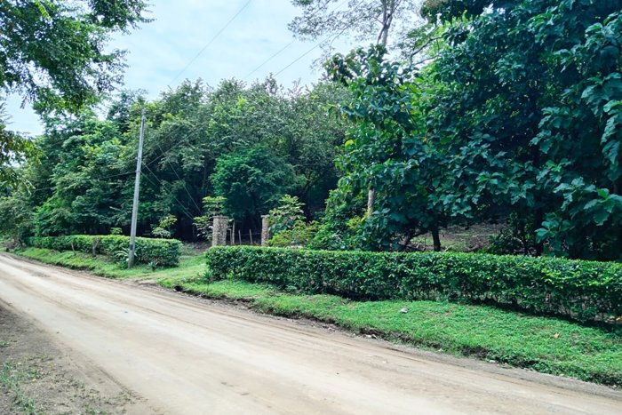 Venta lote Frente al Mar Playa Naranjo 1000m2 en Paquera, Puntarenas — $55,000 - Foto 3 de 12