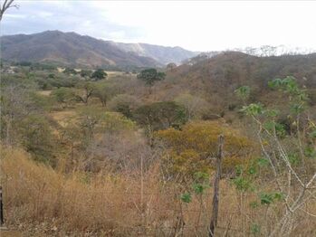 VENTA DE LOTE, GUANACASTE, TAMARINDO en Tamarindo, Santa Cruz, Guanacaste — $180,000 - Foto 5 de 12