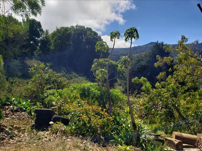 Finca con cabaña en Trinidad de Dota - San José en Santa María, Dota, San José — $250,000