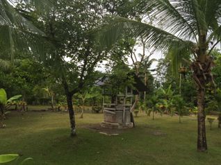 Terreno Único a 100m del Mar ❌  $1,450,000 ➝ Ahora ✔🔥  $1,300,000 en Puerto Jiménez, Golfito, Puntarenas — $1,300,000 - Foto 5 de 5