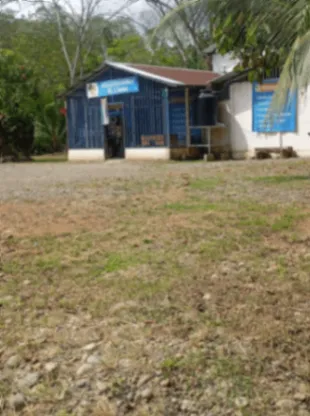 Propiedad Comercial y Residencial en Venta in Valle La Estrella, Limón — ₡ 50 000 000 - Photo 2 of 11