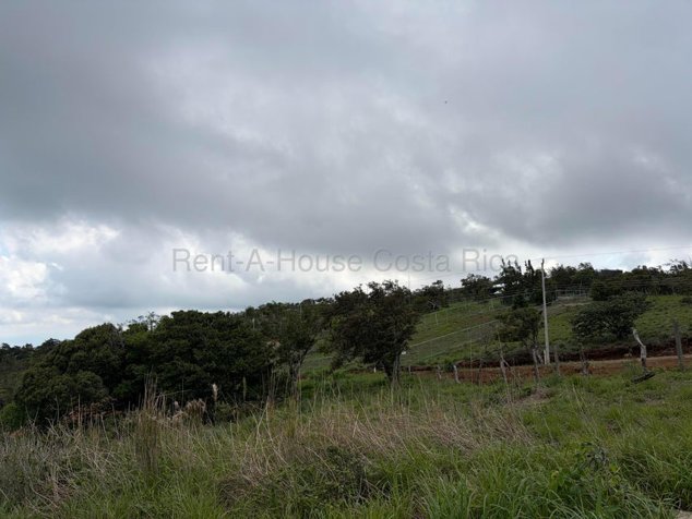 Venta de Lote en San Ramón-Zapotal, Alajuela. RAH 26-2180 en Piedades Sur, San Ramón, Alajuela — ₡ 22 000 000 - Foto 3 de 16