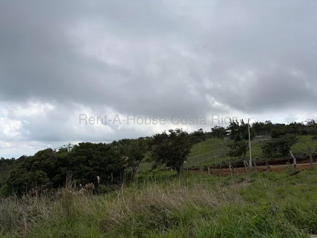 Venta de Lote en San Ramón-Zapotal, Alajuela. RAH 26-2180 en Piedades Sur, San Ramón, Alajuela — ₡ 22 000 000 - Foto 3 de 16
