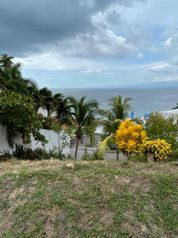 Lote alto de leonamar