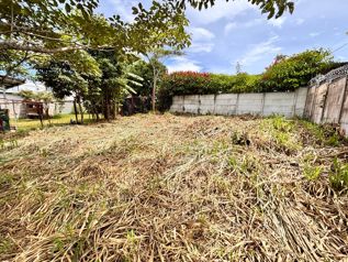 SE VENDE LOTE EN POÁS DE ALAJUELA en Carrillos, Poás, Alajuela — $81,900 - Foto 2 de 10