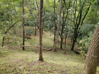 Propiedad Ideal para Descanso en Medio de la Naturaleza in San Pedro, Turrubares, San José — $85,000 - Photo 5 of 31