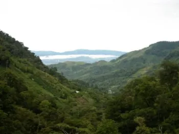 SE VENDEN 95 HECTÁREAS DE BOSQUE PRIMARIO EN PÉREZ ZELEDÓN. 