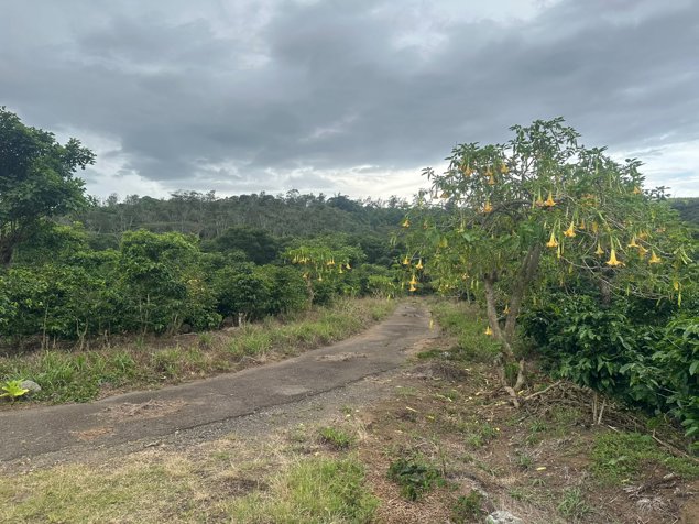 Venta - Finca la Cancha (70,000 m2) - San Luis, Santo Domingo en Santo Domingo, Heredia — $5,100,000 - Foto 3 de 23