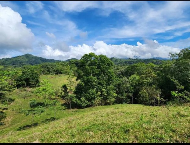 Se vende finca de 19 hectáreas en la bola, turrubares, Carara. en Carara, Turrubares, San José — ₡ 150 000 000