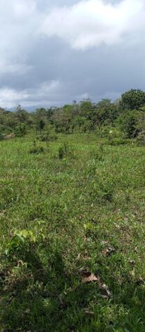 DE OPORTUNIDAD BELLA FINCA EN SAN JOSÉ DE UPALA.  en San José, Upala, Alajuela — ₡ 27 000 000