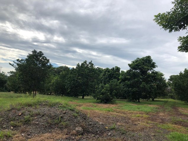 Terreno frente a la Ruta 27 Coyolar Orotina en Coyolar, Orotina, Alajuela — $2,400,000 - Foto 2 de 8