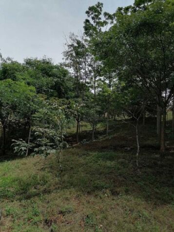 Venta de Lote en Pêrez Zeledôn, San José RAH 25-1904 in San Isidro De El General, Pérez Zeledón, San José — ₡ 125 000 000