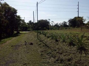 Venta de Lote en Horquetas de Sarapiquí / Mls. 26-885 OFC JB in Las Horquetas, Sarapiquí, Heredia — $50,000 - Photo 4 of 8