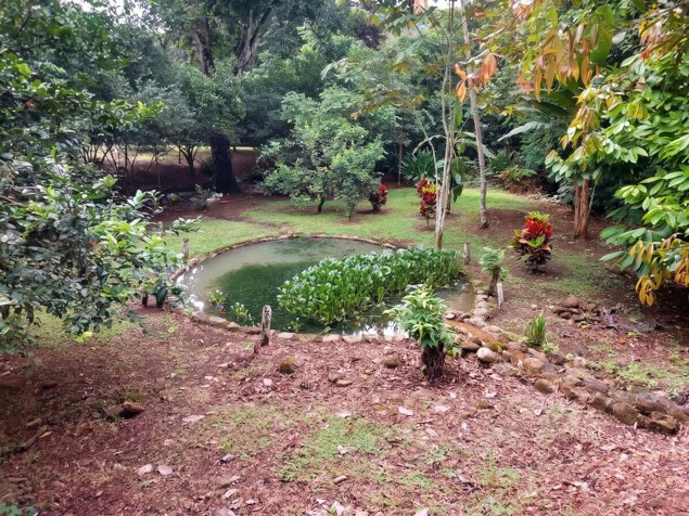 SE VENDE TERRENO LISTO PARA CONSTRUIR CON AGUA PROPIA Y EXCELENTE UBICACION in Daniel Flores, Pérez Zeledón, San José — $82,000 - Photo 3 of 15