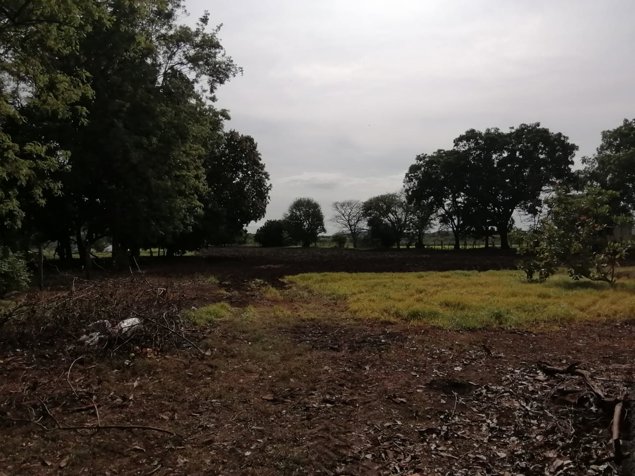 VENTA DE LOTE ALTA DENSIDAD, GUANACASTE, CARRILLO, PALMIRA in Palmira, Carrillo, Guanacaste — $544,135 - Photo 3 of 5