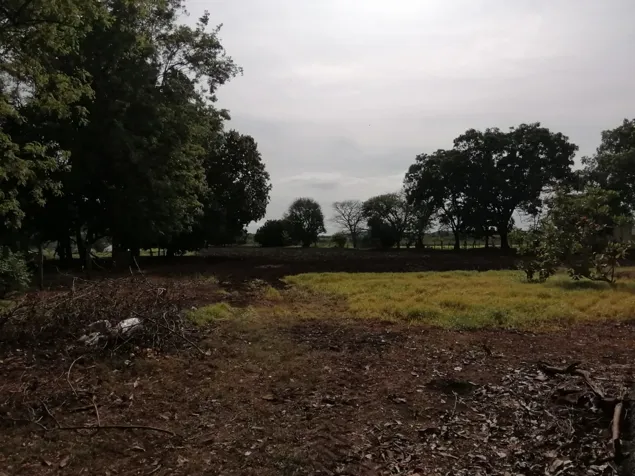 VENTA DE LOTE ALTA DENSIDAD, GUANACASTE, CARRILLO, PALMIRA en Palmira, Carrillo, Guanacaste — $544,135 - Foto 3 de 5