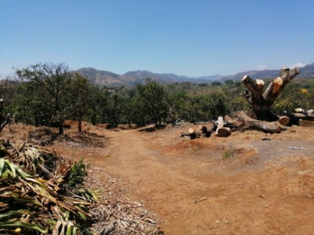 3 Ha PARA DESARROLLAR 57 LOTES en El Rosario, Naranjo, Alajuela — $750,000