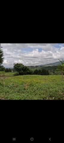 Lote en San Luis de Grecia  en Bolívar, Grecia, Alajuela — ₡ 30 000 000