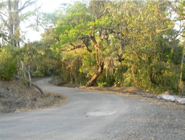 Venta Finca de 20 Ha carretera a Bajamar Orotina en La Ceiba, Orotina, Alajuela — $1,000,000 - Foto 3 de 6