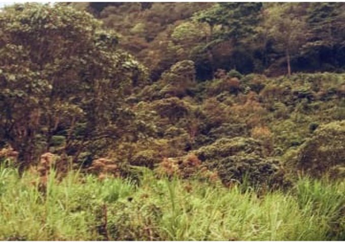 Se venden Terrenos en el Valle de Orosi, para quintas en Orosi, Paraíso, Cartago — $120,000 - Foto 3 de 16