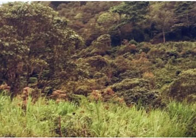 Se venden Terrenos en el Valle de Orosi, para quintas en Orosi, Paraíso, Cartago — $120,000 - Foto 3 de 16