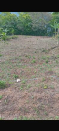 LOTES EN VENTA COSTA RICA PÉREZ ZELEDON  in San Isidro De El General, Pérez Zeledón, San José — ₡ 26 000 000