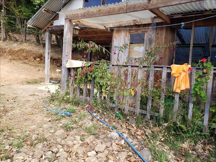 Finca con cabaña en Trinidad de Dota - San José en Santa María, Dota, San José — $250,000