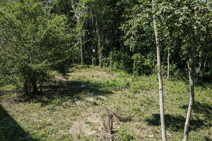 Lot for Sale Surrounded by Nature in Santa Teresa in Cóbano, Puntarenas — $165,000