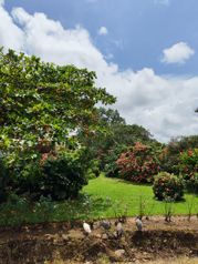 🌋 Terreno de 560 m² con vista al volcán a solo 8 minutos de La Fortuna in La Fortuna, San Carlos, Alajuela — 20 000 000 ₡ - Photo 3 of 4