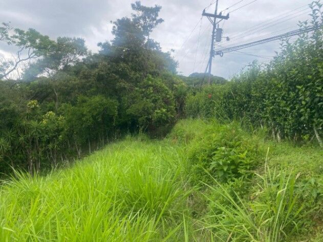 SE VENDE BELLA PROPIEDAD EN BARRIO JESÚS DE ATENAS.  en Atenas, Alajuela — ₡ 35 000 000