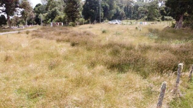 Venta de Lote en El Guarco-San Isidro, Heredia. RAH 26-848 en San Isidro, El Guarco, Cartago — ₡ 25 500 000