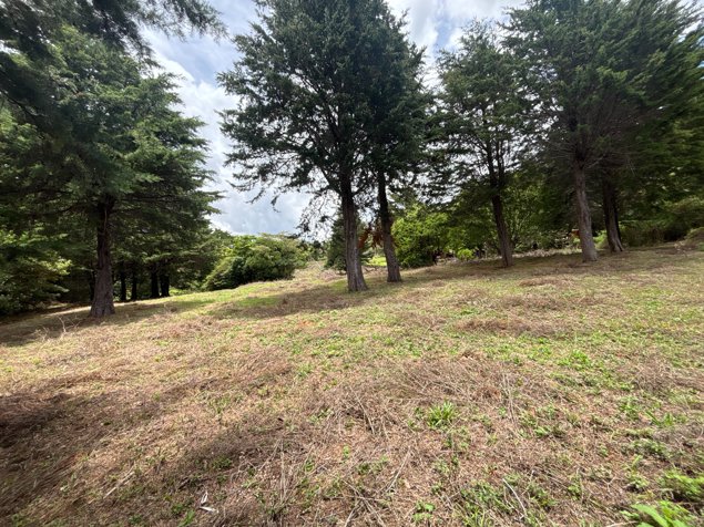 VENTA DE LOTE DE 11.310 m² EN LOS ÁNGELES, SAN RAFAEL DE HEREDIA in Ángeles, San Rafael, Heredia — $339,300 - Photo 2 of 6
