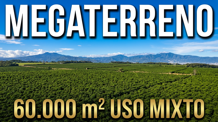 Terreno en Venta para Desarrollo Mixto en San Pablo de Heredia – 6 ha. Para Inversionistas in Rincón Sabanilla, San Pablo, Heredia — $9,000,000 - Photo 3 of 35