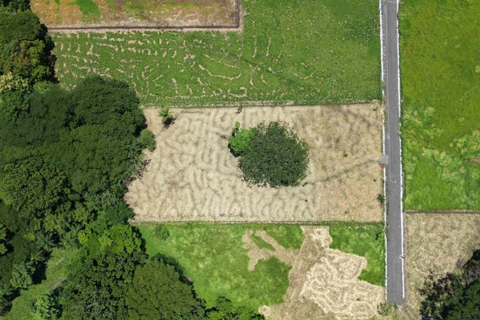 Flat 5,005 m² Lot for Sale Near Atenas in Brisas de Mora en Atenas, Alajuela — $145,000