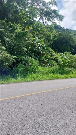BELLA FINCA EN LA COSTANERA SUR. en Puerto Cortés, Osa, Puntarenas — $215,000