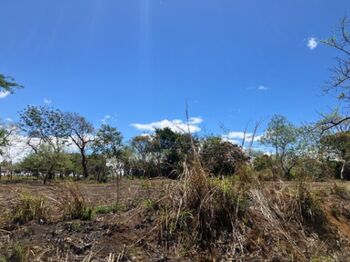 Finca en Venta Garita, Alajuela, Alajuela