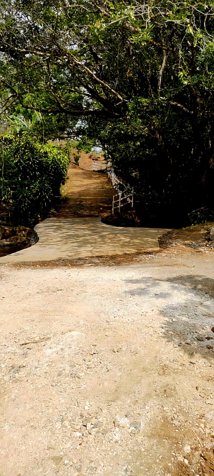 Hermosa Quinta Junto al Río en San Ramón, Alajuela — ₡ 55 000 000 - Foto 2 de 22