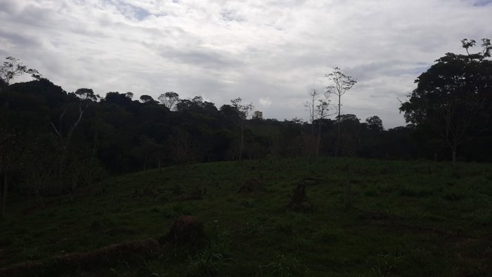 Venta de Finca Ganadera con Operación Llave en Mano en San Marcos de Cutris en Cutris, San Carlos, Alajuela — ₡ 460 000 000