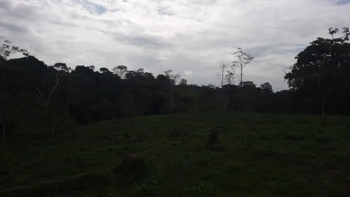 Venta de Finca Ganadera con Operación Llave en Mano en San Marcos de Cutris en Cutris, San Carlos, Alajuela — ₡ 460 000 000 - Foto 2 de 7