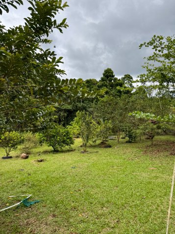 VENTA Finca de 2.0 Ha en Bella Vista de Guápiles -  CON CASA DE HABITACION- PRECIO NEGOCIABLE en Guápiles, Pococí, Limón — ₡ 240 744 000