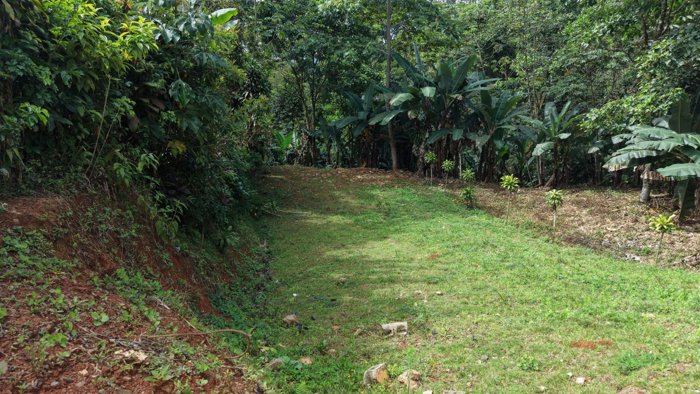 SE VENDE LOTE LISTO PARA CONSTRUIR RODEADO DE NATURALEZA Y A 10 MINUTOS DEL CENTRO en Páramo, Pérez Zeledón, San José — ₡ 10 000 000 - Foto 2 de 11