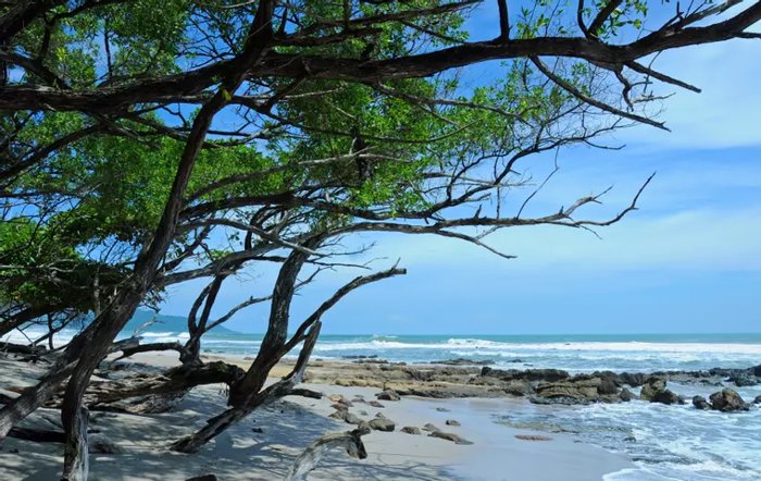 Discover a beautiful opportunity to own 1.59 acres (6,447.62 m²) in Playa Malpaís, in Cóbano, Puntarenas — $650,000