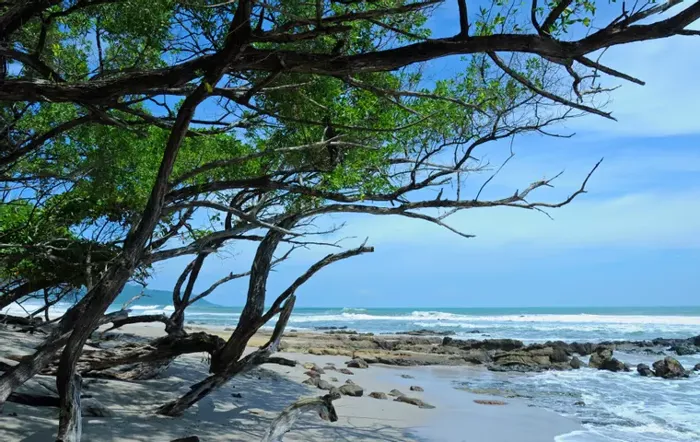 Discover a beautiful opportunity to own 1.59 acres (6,447.62 m²) in Playa Malpaís, in Cóbano, Puntarenas — $650,000