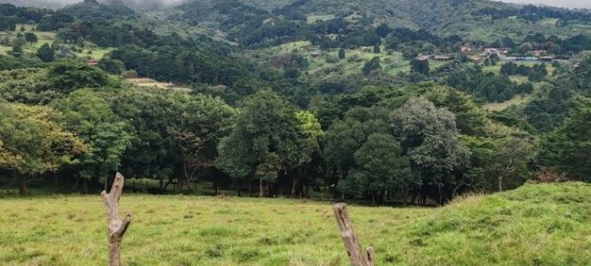 MLS-26-1131 LS VENTA LOTE SAN RAFAEL HEREDIA CONTACTENOS AL # 86127562 in San Rafael, Heredia — $199,000