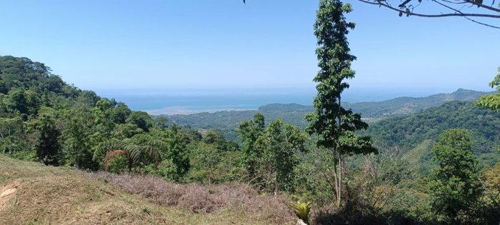 Lote en venta en Puerto Cortés, Osa Vistas al océano Precio Rebajado in Puerto Cortés, Osa, Puntarenas — $130,000