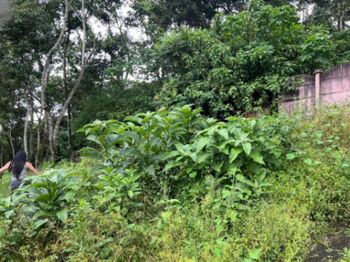 Venta de Maravilloso Lote de Terreno en La Unión, Cartago / Mls. 26-740 en San Ramón, La Unión, Cartago — $240,000 - Foto 5 de 5