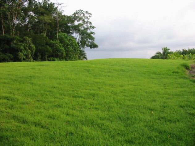 Lote en Venta en Sarapiquí in La Virgen, Sarapiquí, Heredia — ₡ 160 000 000